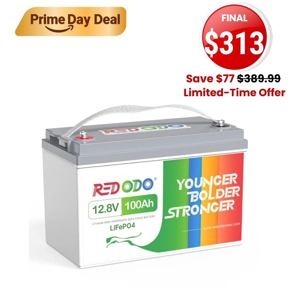 12V 100Ah Group 31  Battery