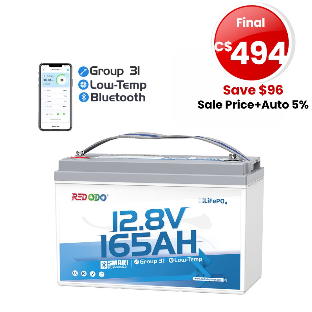 🔥【SAVE C$96】Redodo 12V 165Ah Group 31 Bluetooth Lithium Battery | For RV, Marine, Solar Home