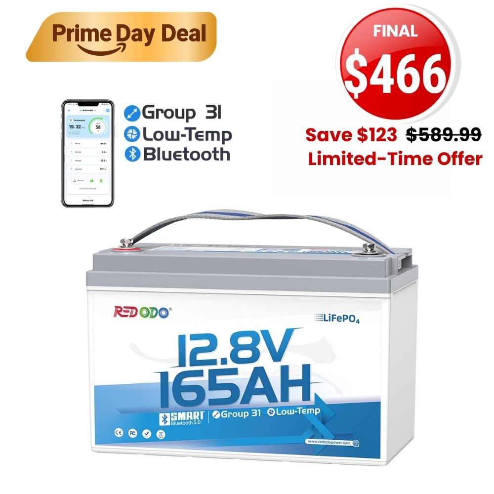 12V 165Ah Group 31 Bluetooth