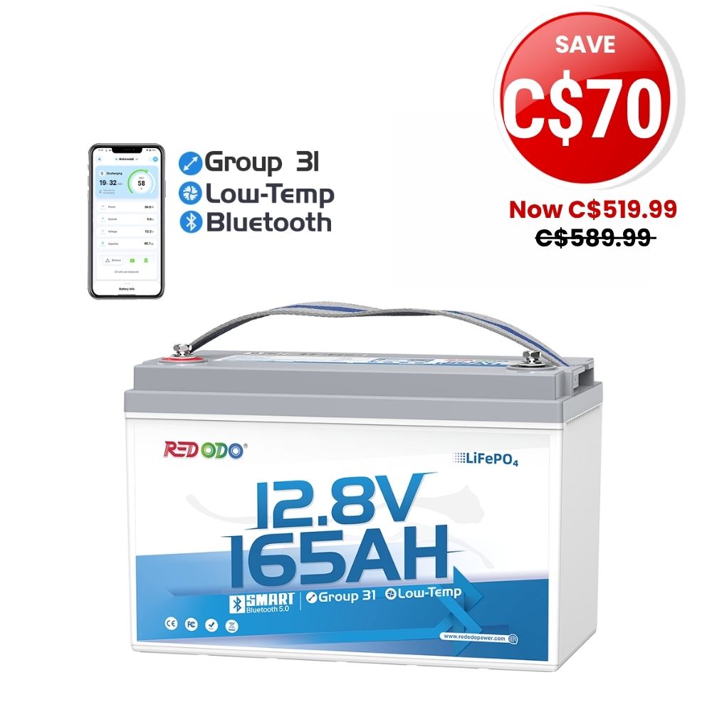 12V 165Ah Group 31 Bluetooth