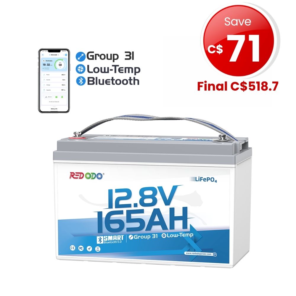 12V 165Ah Group 31 Bluetooth