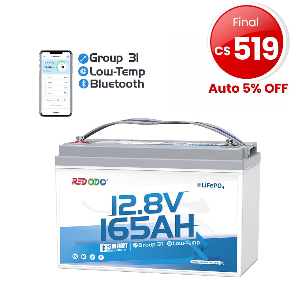 12V 165Ah Group 31 Bluetooth
