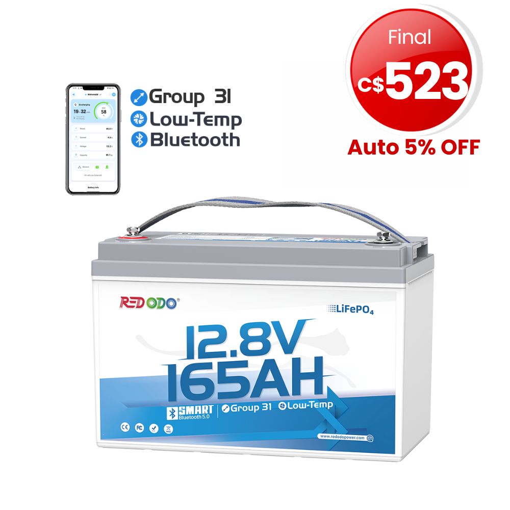 12V 165Ah Group 31 Bluetooth