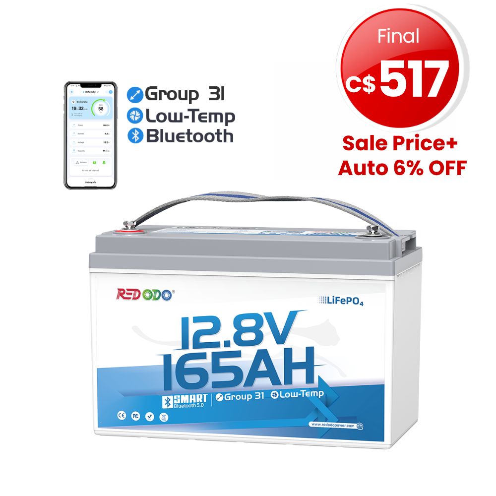 🔥【Final C$517】Redodo 12V 165Ah Group 31 Bluetooth Lithium Battery | For RV, Marine, Solar Home