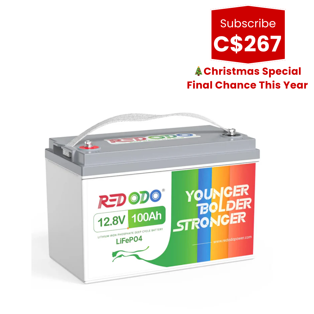🎄【C$267 After Subscribe】Redodo 12V 100Ah LiFePO4 Lithium Battery | Best Budget | For RV, Solar, Trolling Motor