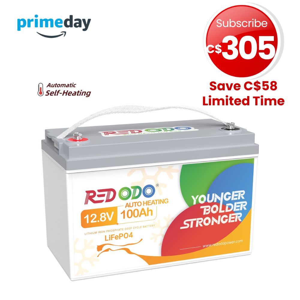 🔥【Prime Big Deal】Redodo 12V 100Ah Self-Heating LiFePO4 Lithium Battery | For RV, Boats, Solar Home Systems