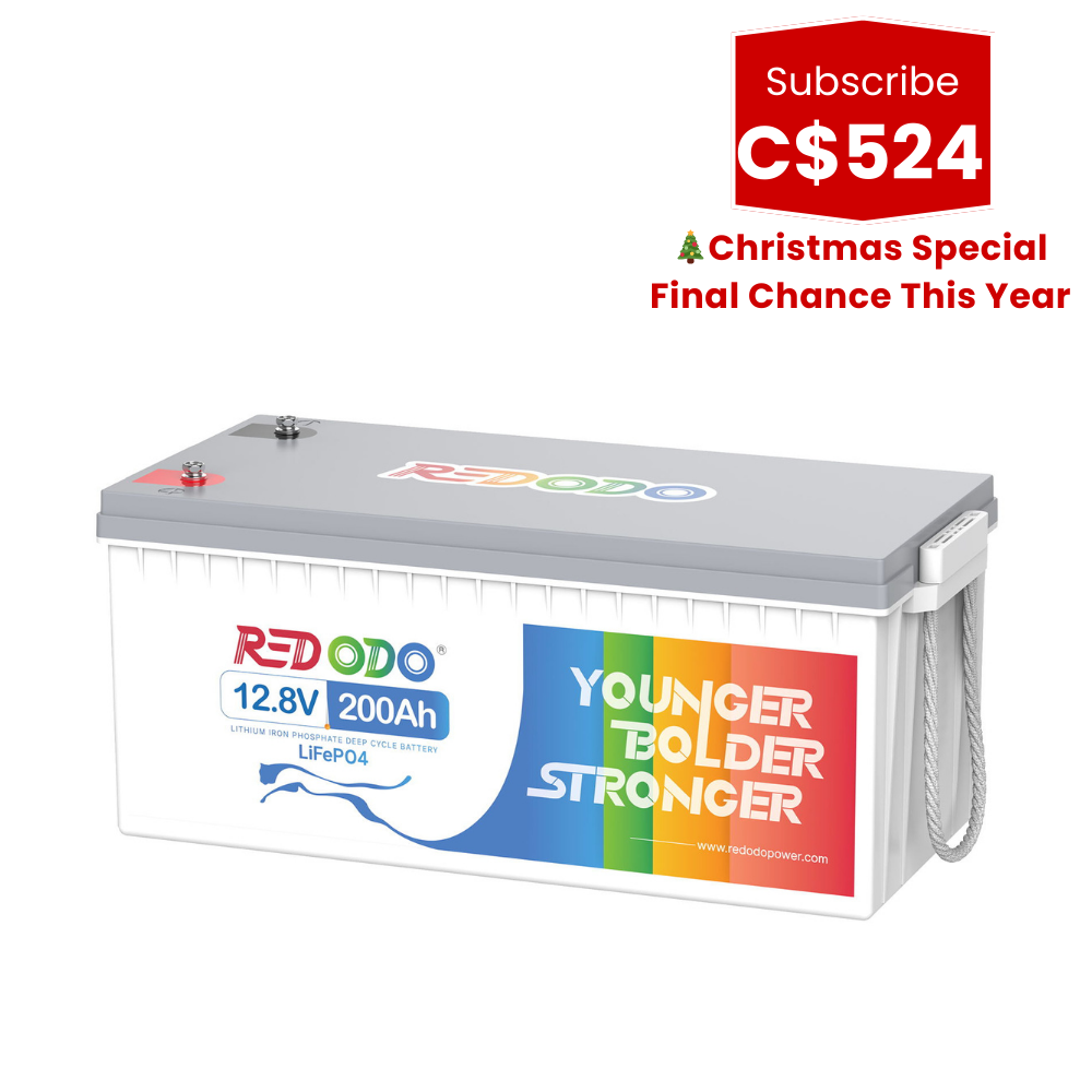 🎄【C$524 After Subscribe】Redodo 12V 200Ah Lithium LiFePO4 Battery | 1280W Load Power | For RV, Solar, Off-Grid Redodo CA