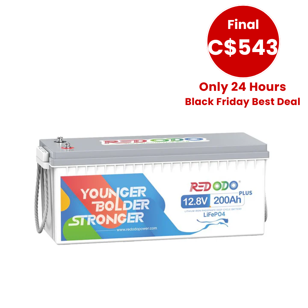 🔥【C$543 Only 24H】Redodo 12V 200Ah Plus Deep Cycle LiFePO4 Lithium Battery 2560W Load Power | For Solar Home, RV, Marine Redodo CA