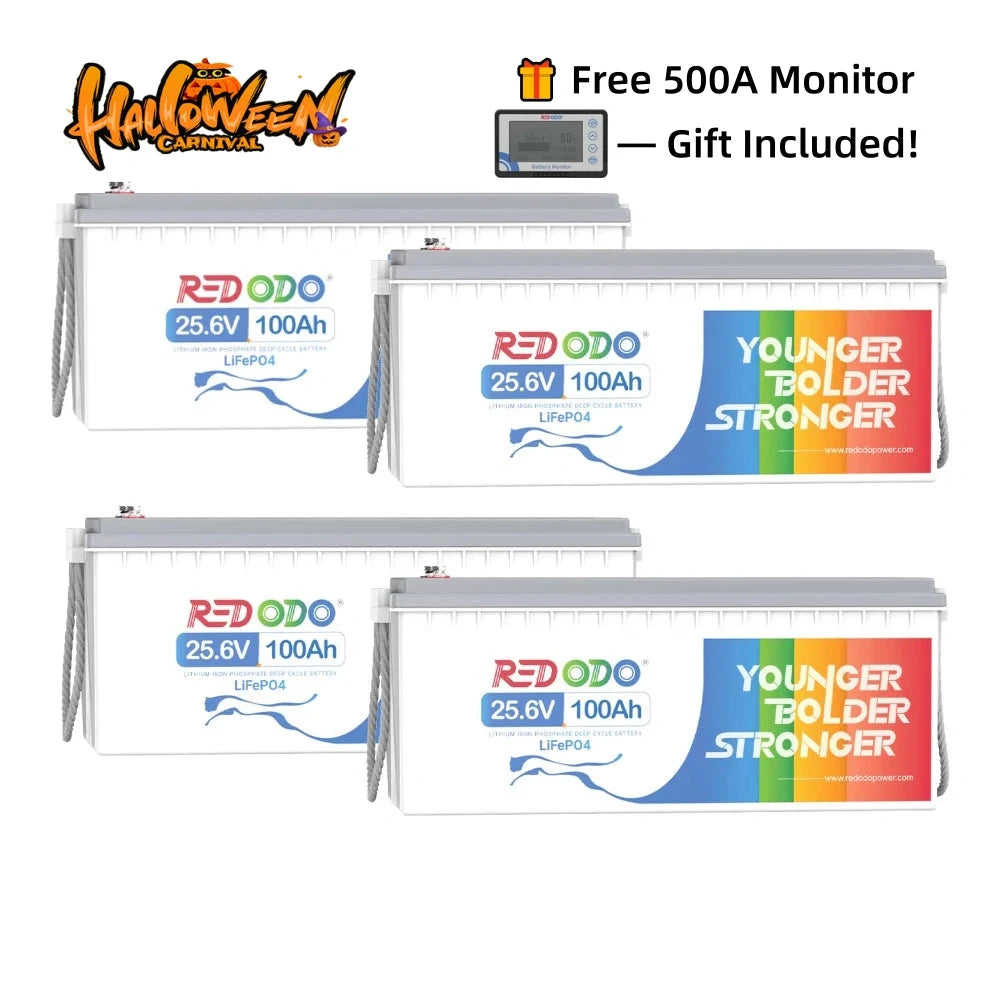 Redodo 24V 100Ah Lithium Battery | For RVs, Trolling Motors, Marine and Off-Grid Applications Redodo CA