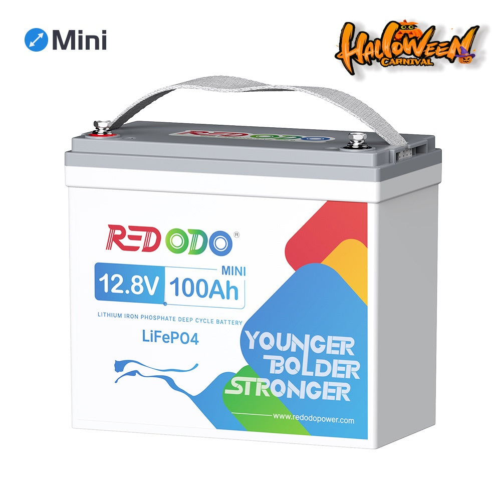 Redodo 12V 100Ah Mini Lithium Battery Perfect for RV, Vans, Trolling motors Redodo CA