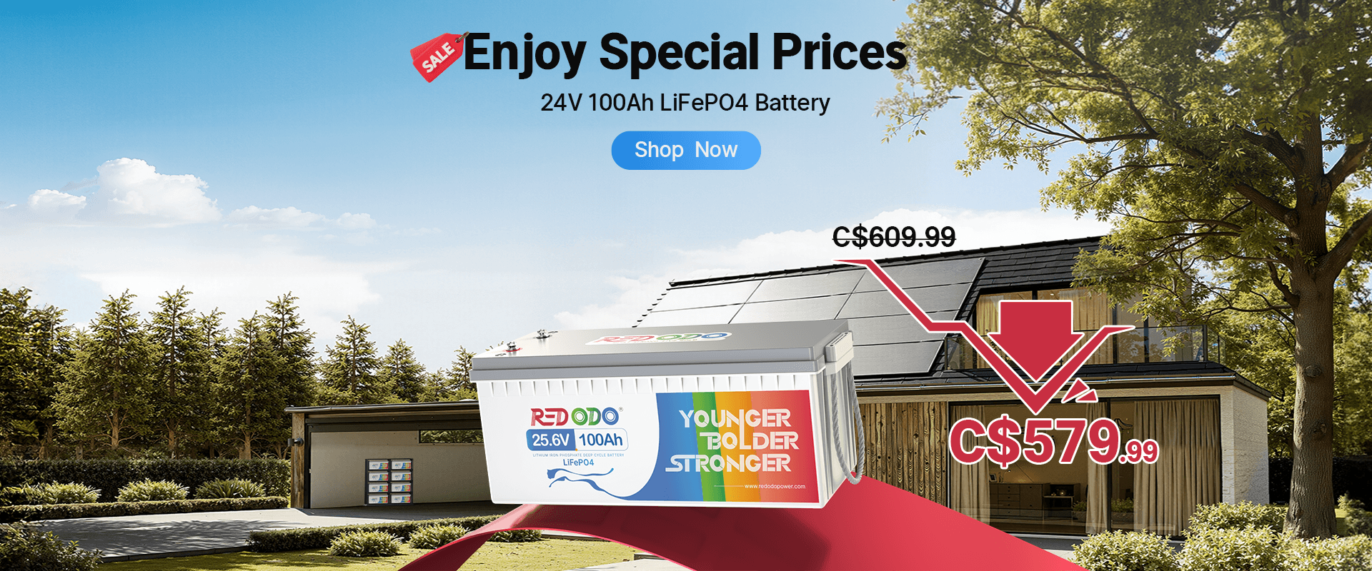 24V 100Ah LiFePO4 Lithium Battery Only C$579.99 | Redodo Canada