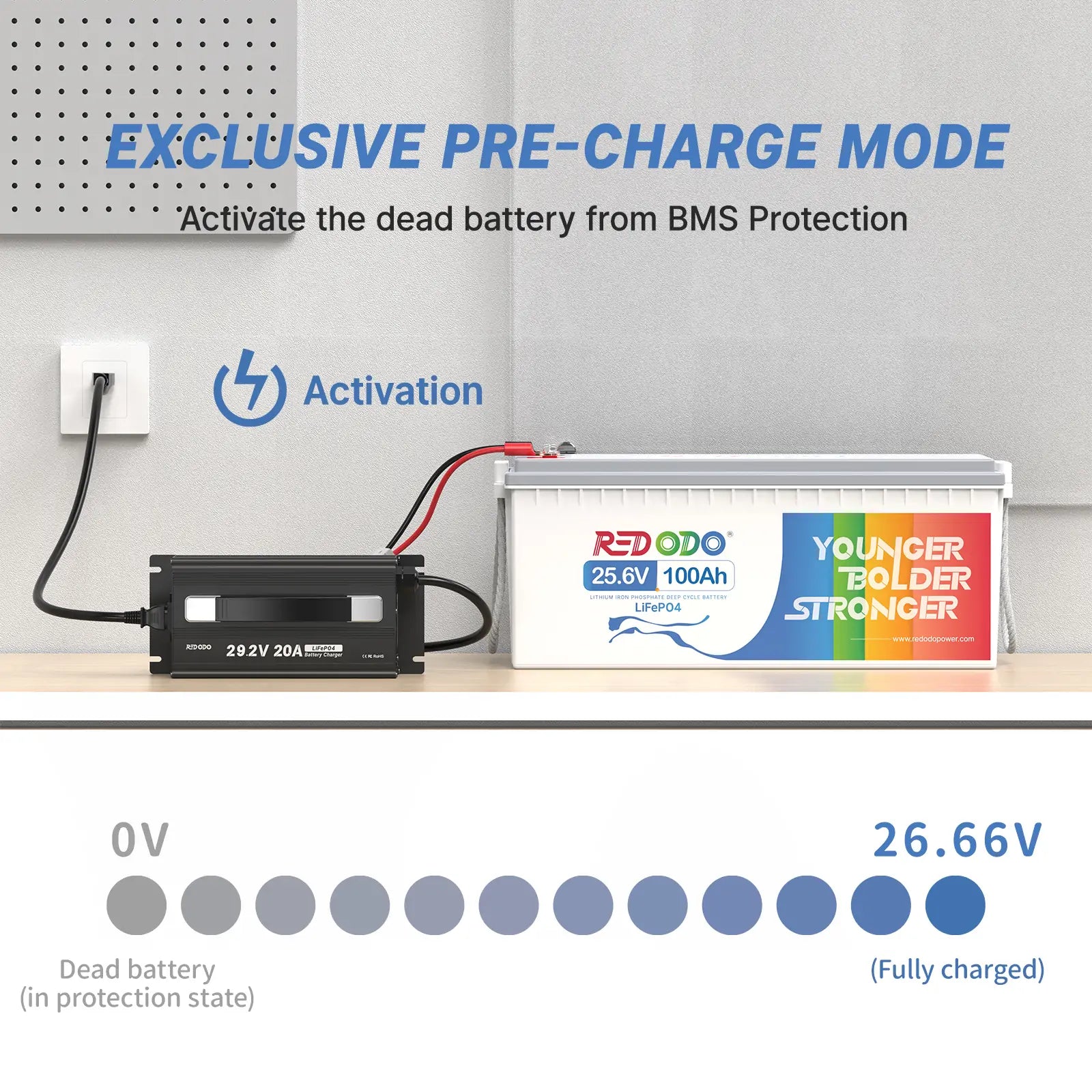 Redodo 20A LiFePO4 Battery Charger