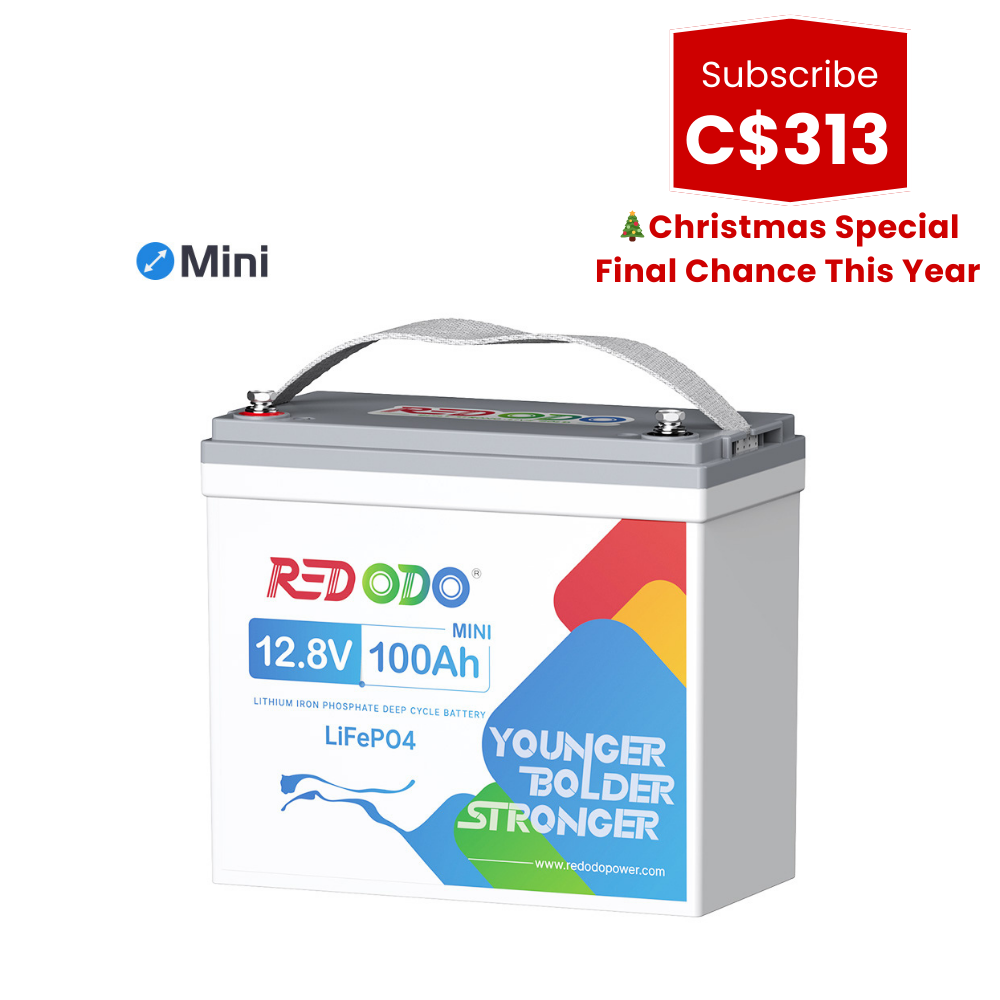 🎄【C$313 After Subscribe】Redodo 12V 100Ah Mini Lithium Battery Perfect for RV, Vans, Trolling motors Redodo CA