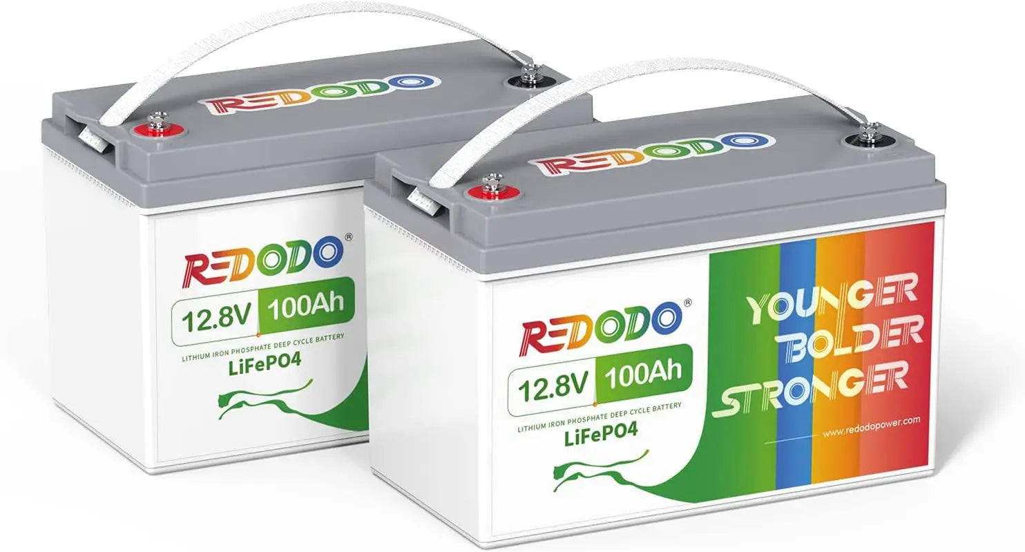 2 pack Redodo 12V 100Ah LiFePO4 battery