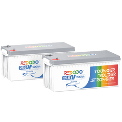 Redodo 24V 100Ah LiFePO4 Battery | 2.56kWh & 2.56kW